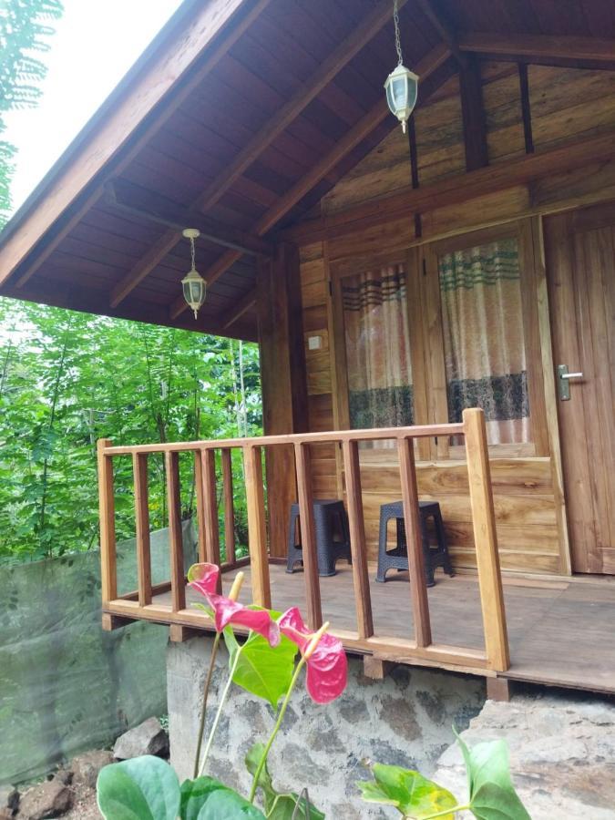 Hotel Diyaluma View Cotage Koslanda Zewnętrze zdjęcie