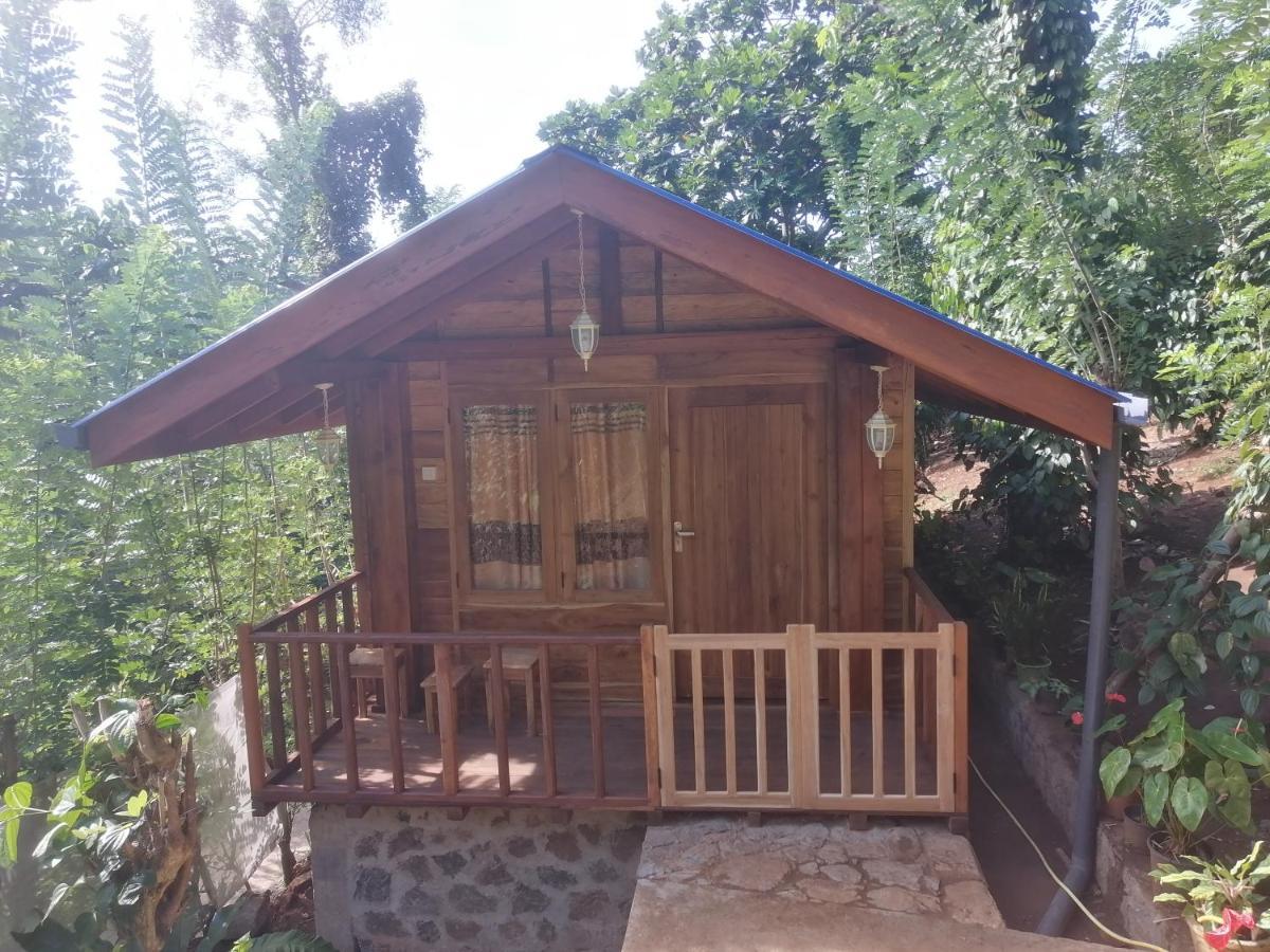 Hotel Diyaluma View Cotage Koslanda Zewnętrze zdjęcie